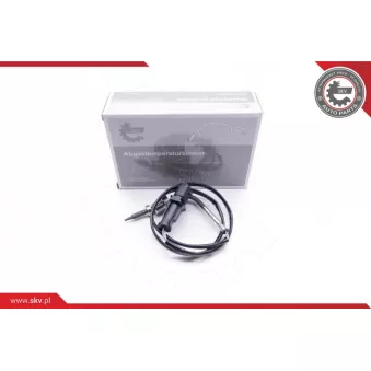 Capteur, température des gaz ESEN SKV 30SKV075