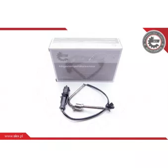 Capteur, température des gaz ESEN SKV 30SKV076