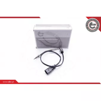 Capteur, température des gaz ESEN SKV 30SKV083
