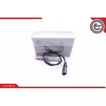 Capteur, température des gaz ESEN SKV 30SKV084