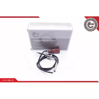 Capteur, température des gaz ESEN SKV 30SKV085