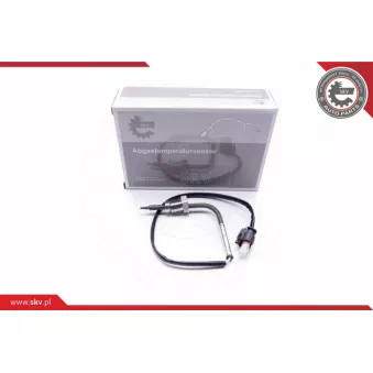 Capteur, température des gaz ESEN SKV 30SKV090