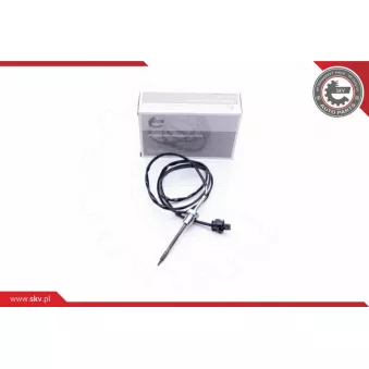 Capteur, température des gaz ESEN SKV 30SKV091