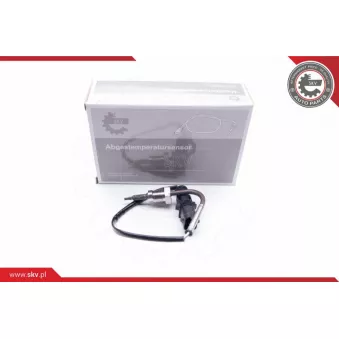 Capteur, température des gaz ESEN SKV 30SKV094
