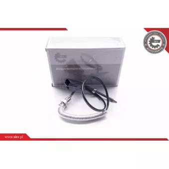 Capteur, température des gaz ESEN SKV 30SKV096