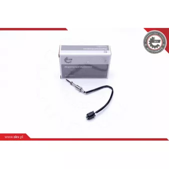 Capteur, température des gaz ESEN SKV 30SKV105