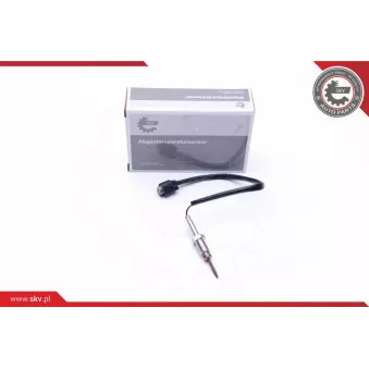 Capteur, température des gaz ESEN SKV 30SKV106
