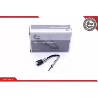Capteur, température des gaz ESEN SKV 30SKV109