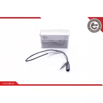 Capteur, température des gaz ESEN SKV 30SKV110