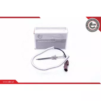 Capteur, température des gaz ESEN SKV 30SKV113