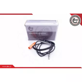 Capteur, température des gaz ESEN SKV 30SKV115