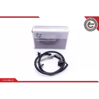 Capteur, température des gaz ESEN SKV 30SKV117