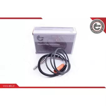 Capteur, température des gaz ESEN SKV 30SKV118