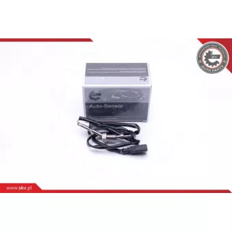 Capteur, température des gaz ESEN SKV 30SKV124