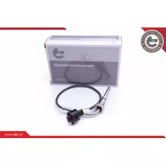 Capteur, température des gaz ESEN SKV 30SKV125