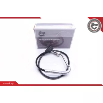 Capteur, température des gaz ESEN SKV 30SKV127
