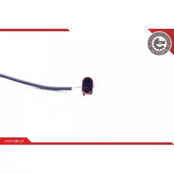 Capteur, température des gaz ESEN SKV 30SKV130