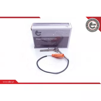 Capteur, température des gaz ESEN SKV 30SKV131