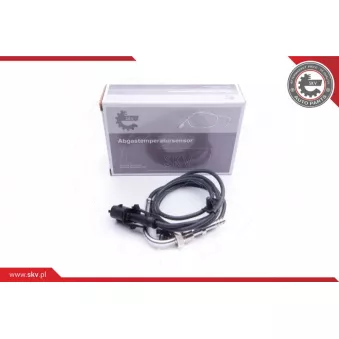 Capteur, température des gaz ESEN SKV 30SKV133