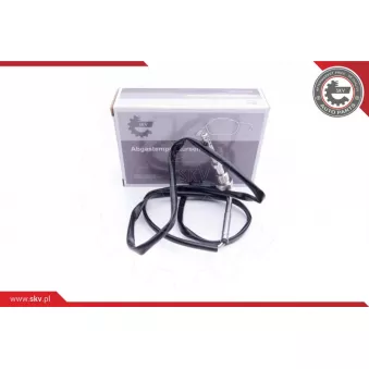 Capteur, température des gaz ESEN SKV 30SKV134