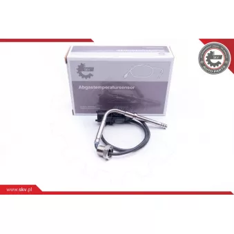 Capteur, température des gaz ESEN SKV 30SKV135