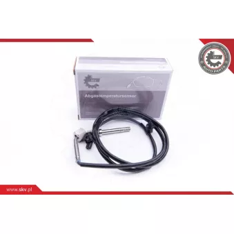 Capteur, température des gaz ESEN SKV 30SKV140