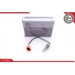 Capteur, température des gaz ESEN SKV 30SKV142 - Visuel 1