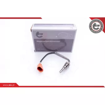 Capteur, température des gaz ESEN SKV 30SKV142
