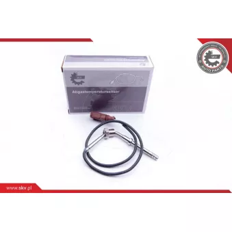 Capteur, température des gaz ESEN SKV 30SKV144