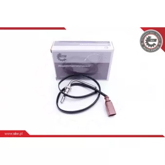 Capteur, température des gaz ESEN SKV 30SKV146