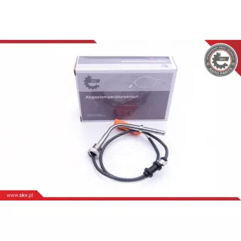 Capteur, température des gaz ESEN SKV 30SKV148