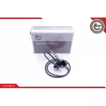 Capteur, température des gaz ESEN SKV 30SKV152
