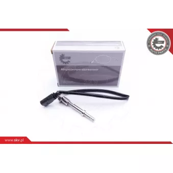 Capteur, température des gaz ESEN SKV 30SKV156