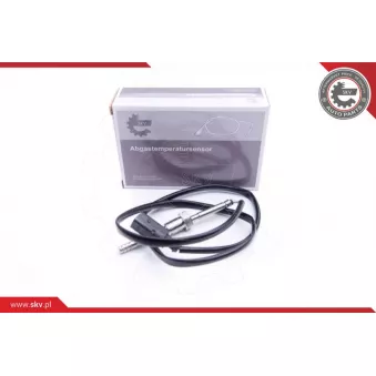 Capteur, température des gaz ESEN SKV 30SKV158