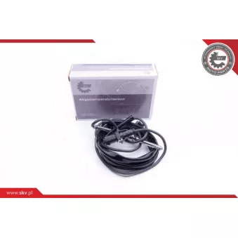 Capteur, température des gaz ESEN SKV 30SKV161