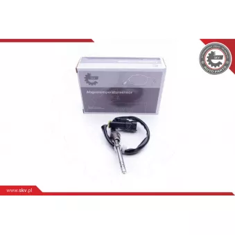 Capteur, température des gaz ESEN SKV 30SKV162