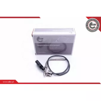 Capteur, température des gaz ESEN SKV 30SKV163