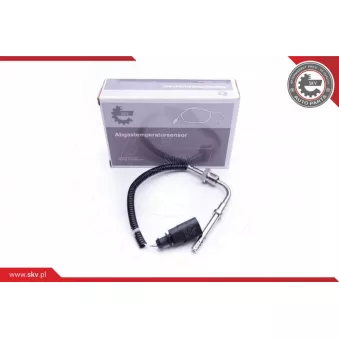 Capteur, température des gaz ESEN SKV 30SKV164