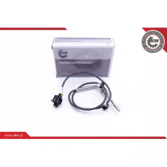 Capteur, température des gaz ESEN SKV 30SKV165