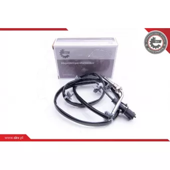 Capteur, température des gaz ESEN SKV 30SKV167