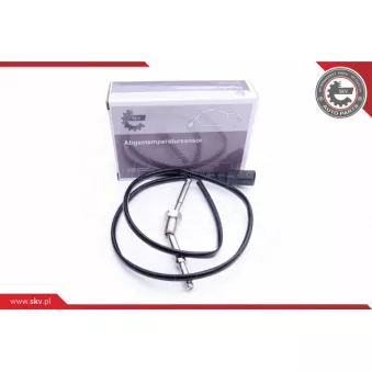 Capteur, température des gaz ESEN SKV 30SKV172
