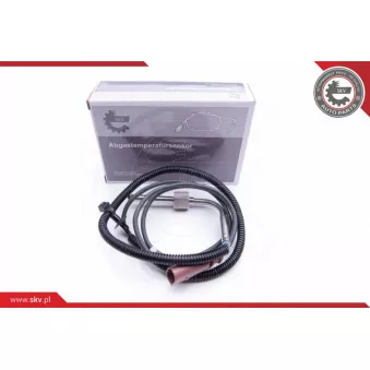 Capteur, température des gaz ESEN SKV 30SKV176