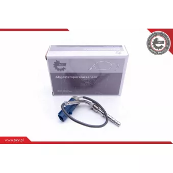 Capteur, température des gaz ESEN SKV 30SKV177