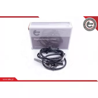 Capteur, température des gaz ESEN SKV 30SKV179