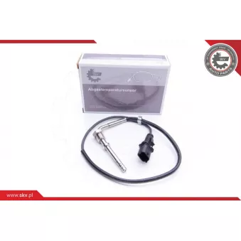 Capteur, température des gaz ESEN SKV 30SKV182