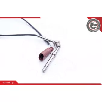 Capteur, température des gaz ESEN SKV 30SKV186