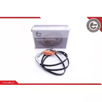 Capteur, température des gaz ESEN SKV 30SKV189
