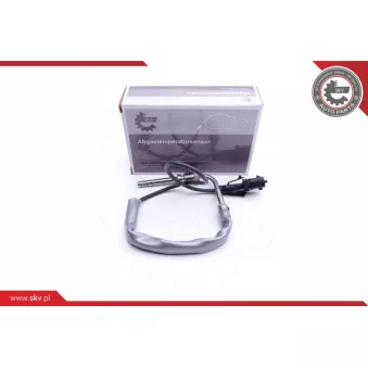 Capteur, température des gaz ESEN SKV 30SKV190