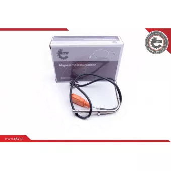 Capteur, température des gaz ESEN SKV 30SKV191