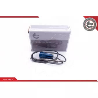 Capteur, température des gaz ESEN SKV 30SKV199
